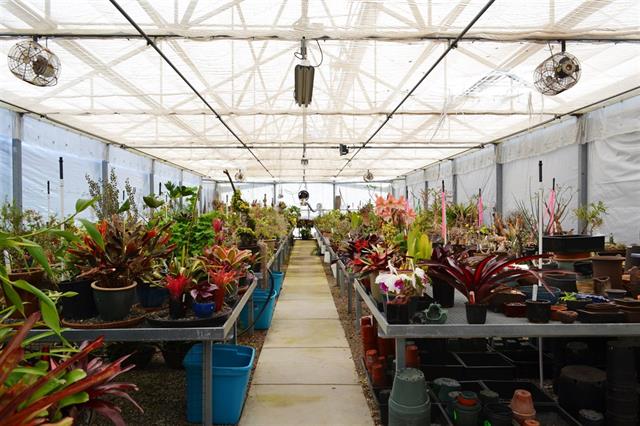 Outdoor Design Trends - Greenhouse